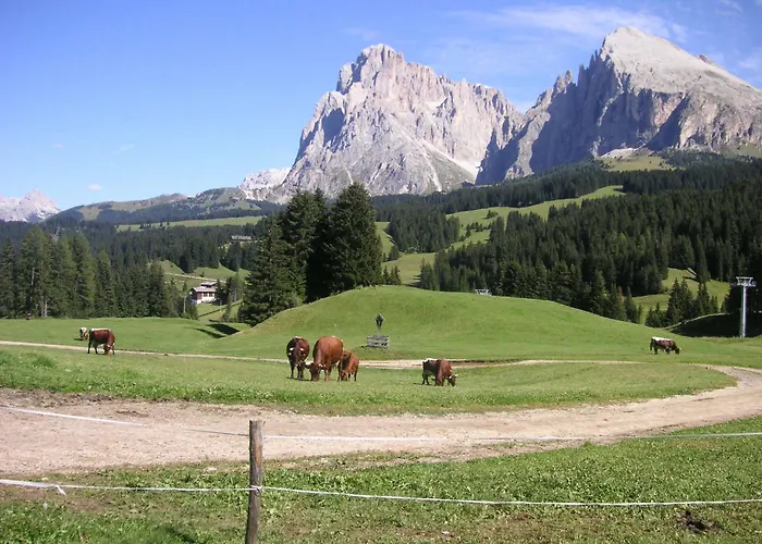 Hotel Flora Selva di Val Gardena